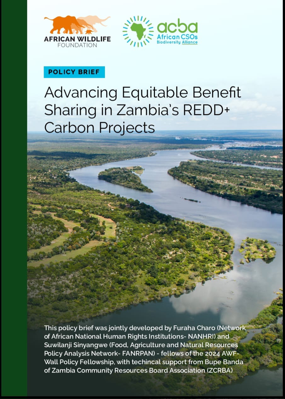 Advancing Equitable Benefit Sharing in Zambia’s REDD+ Carbon Projects image